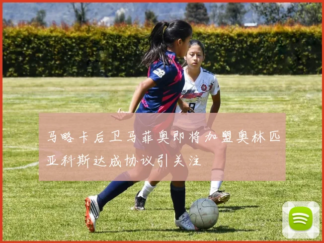 马略卡后卫马菲奥即将加盟奥林匹亚科斯达成协议引关注